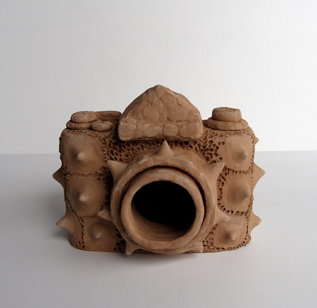 Darko Stanic – CAMERA – terracota